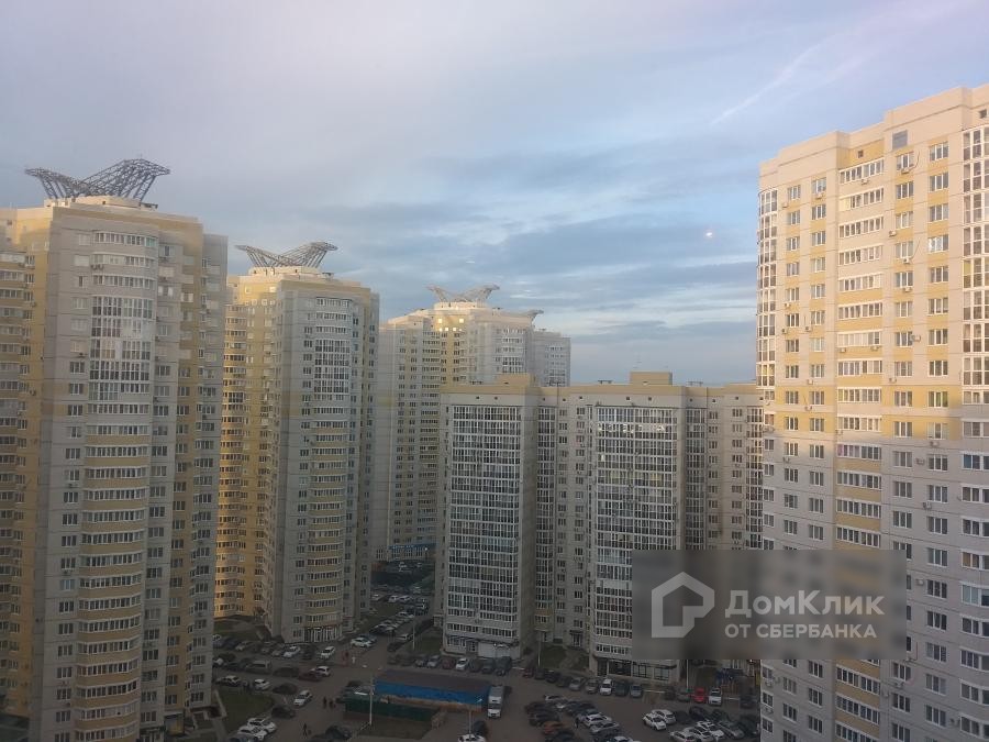 Воронеж ул переверткина 51. Переверткина, 2. Ул переверткина 1/2. Переверткина 45 воронеж. Переверткина 11 воронеж.